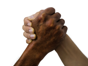 hands, grab hands, friend, grabbing hands, handshake, teamwork, friendship, hand shake, meeting, greeting, harmony, harmony in diversity, peace, handshake, handshake, handshake, handshake, hand shake, hand shake, hand shake, hand shake, hand shake